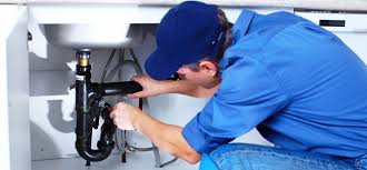 Best Toilet Repair and Installation  in Meadow Lake, NM